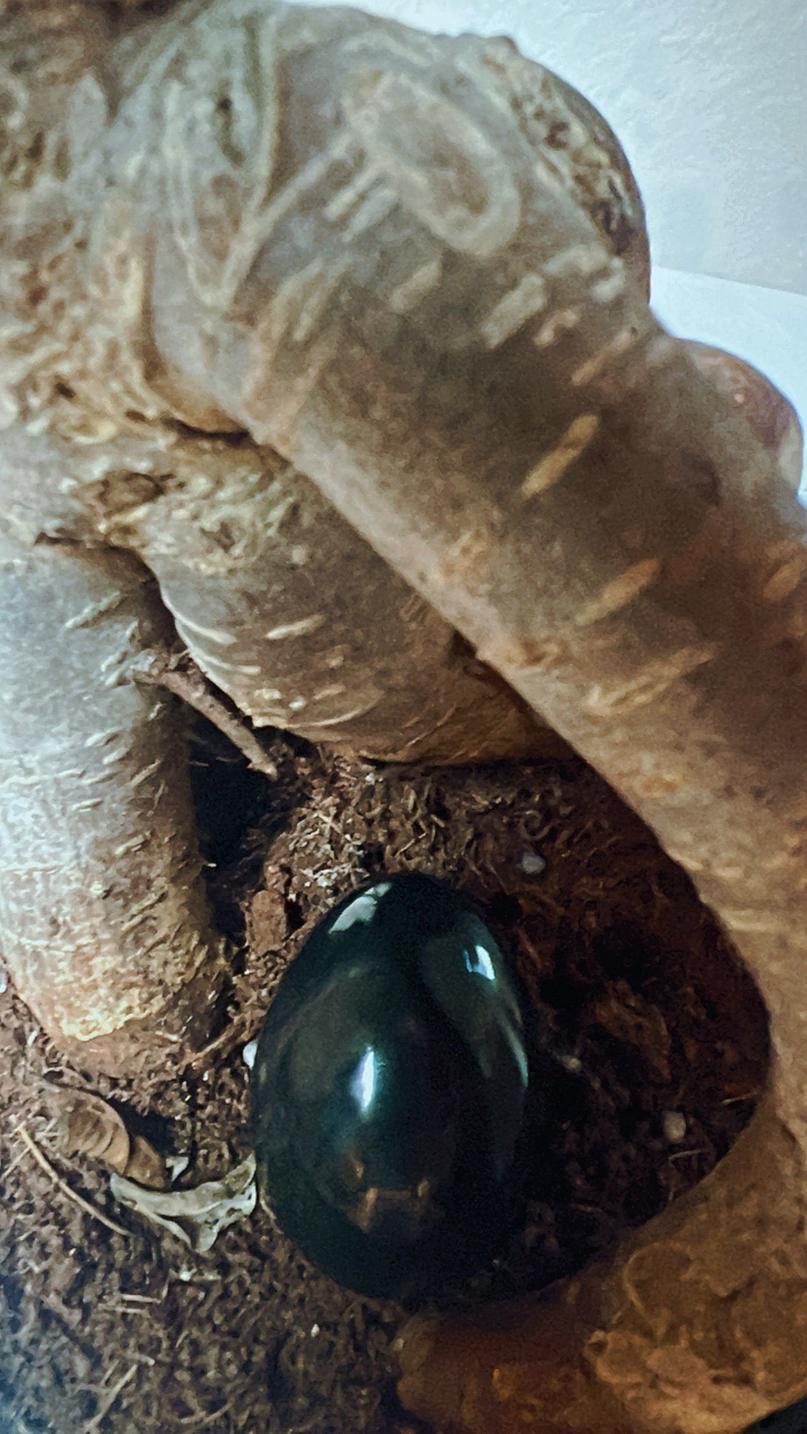 Nephrite Jade Egg